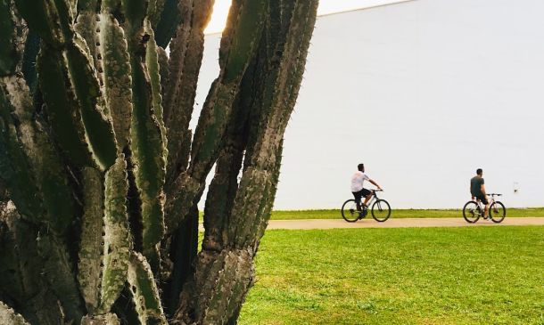 Boca Raton's Sugar Sand Park: Art in the Landscape