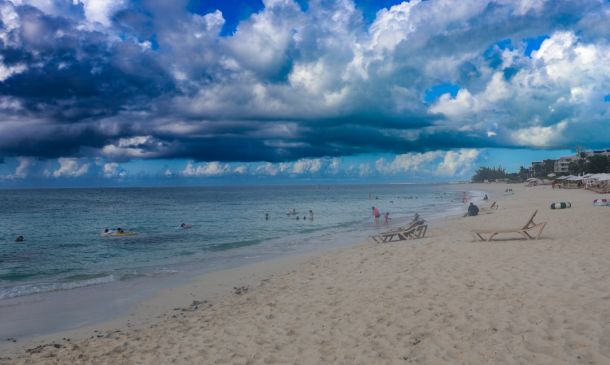 Boca Raton Startup: Predicting Tides with AI