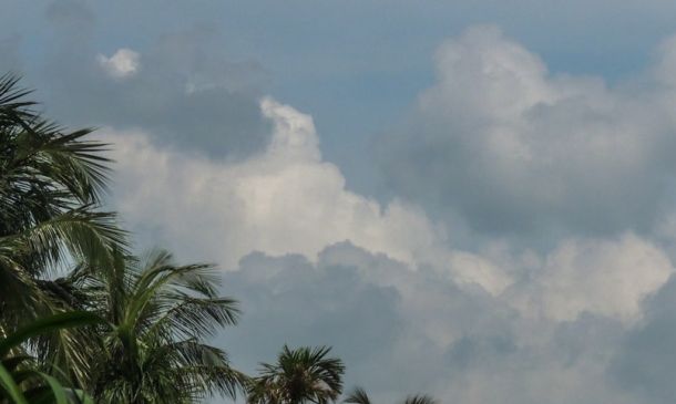 Boca Raton Plane Crash: Updates & Investigation