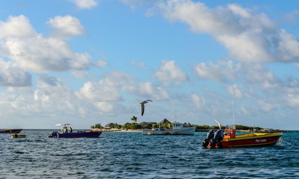 Boca Bash 2025: Lake Boca's Extravaganza