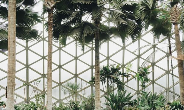 COCONUT CREEK MURDER: Cold Case Turns Hot As Victim Is Identified