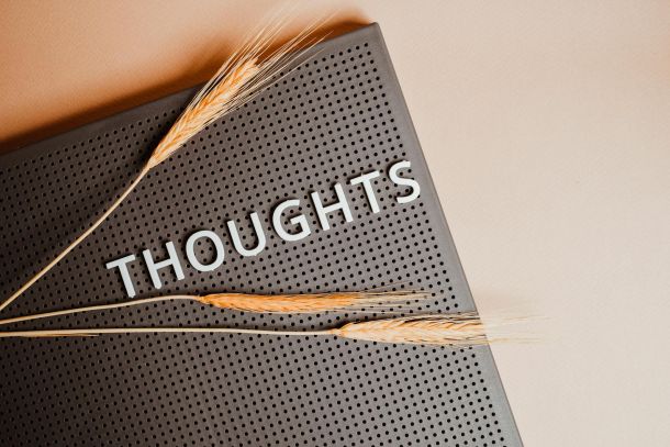 senses of cinema films for thought 172 10bafcd8 Travel