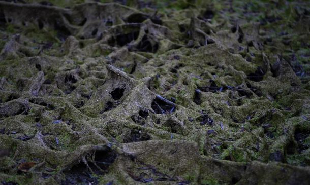 Artificial Islands of ‘Bonefish Cove’ in ICW Taking Shape, Completion Expected Next Winter 2 Artificial Islands of ‘Bonefish Cove’ in ICW Taking Shape, Completion Expected Next Winter