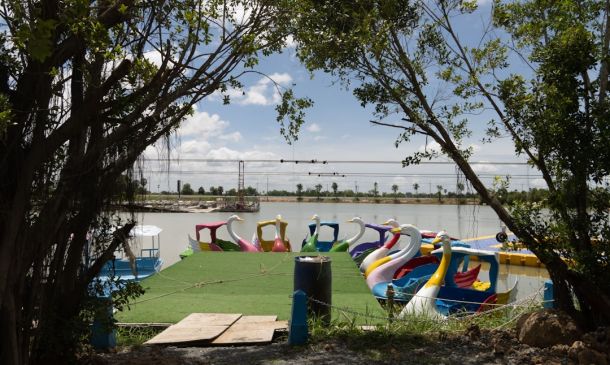 Remembering Denise McClay: A Boca Raton Life 4 Boca Raton's First Park(ing) Day