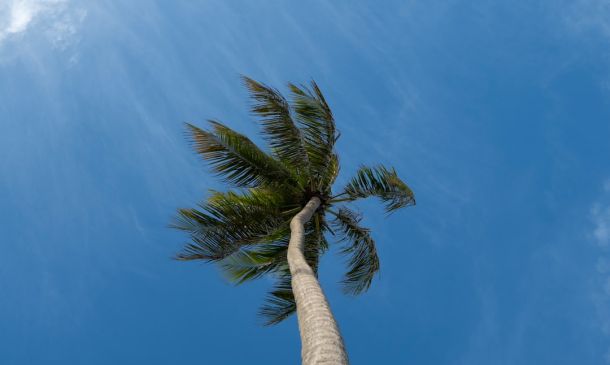 Boca Raton Weather: Sunny Skies & Possible Showers