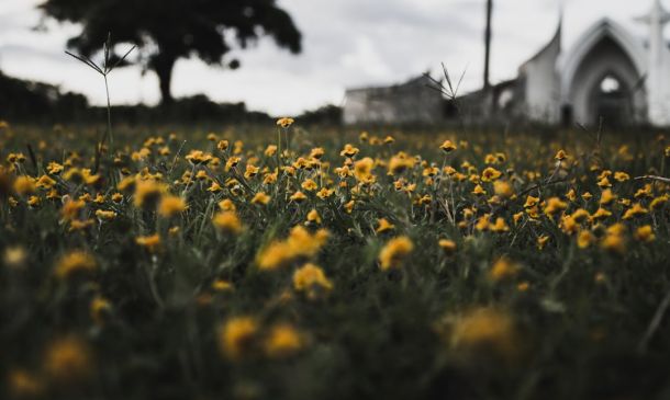 Rip Current Statement issued October 12 at 2:17AM EDT until October 13 at 8:00PM EDT by NWS Miami FL