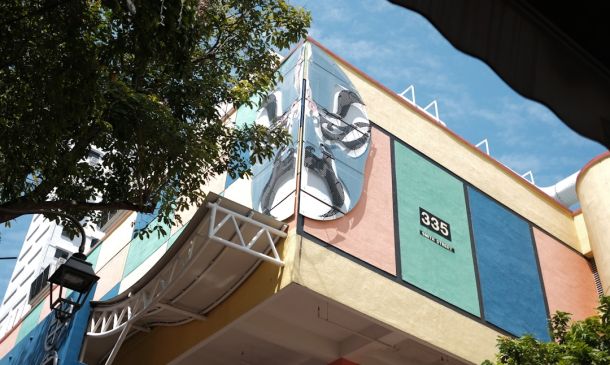 Boca Raton's New Park Mural: A Celebration of Nature