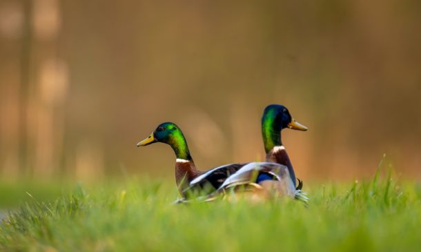 HURRICANE CENTER: MELISSA TO BECOME MAJOR HURRICANE SOUTH OF FLORIDA 3 Male Publix Shopper Arrested After Hitting On Teen Male Cashier In Boca Raton