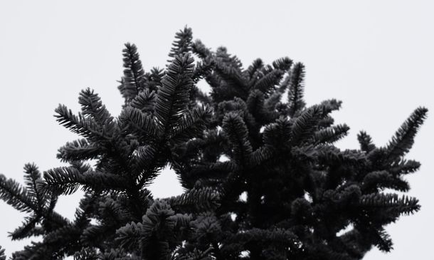 Boca Raton Teen With Severe Autsim Arrested By SWAT For Viewing Child Porn 7 Cold Weather Shelters To Open Again In Palm Beach County