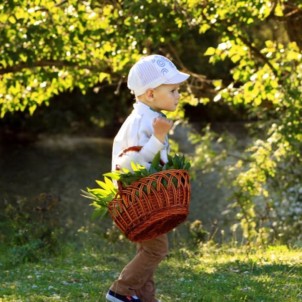 Child Molestation Charges Against Norman Riemer Dropped, Reduced