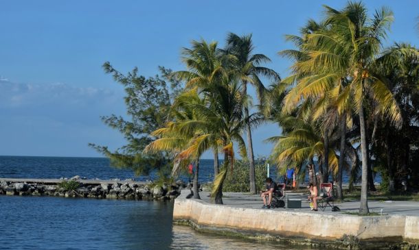 Boca Raton's Cannabis Guide: Laws & Dispensaries 4 New President to Lead Boca Raton Disability Services