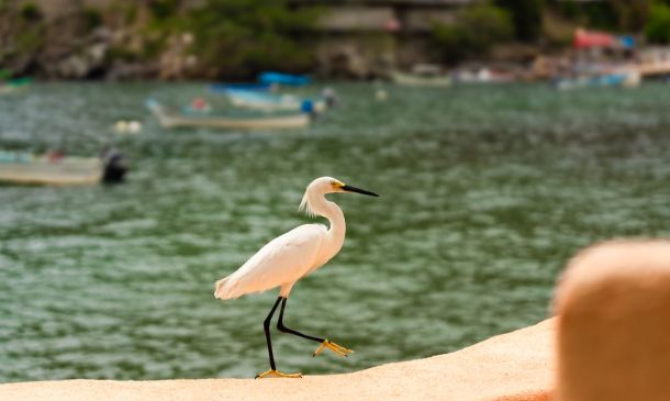 NO SCHOOL FOR PALM BEACH COUNTY PUBLIC STUDENTS 5 Boca Raton Revises Zoning Code to Allow Free-Standing Emergency Rooms