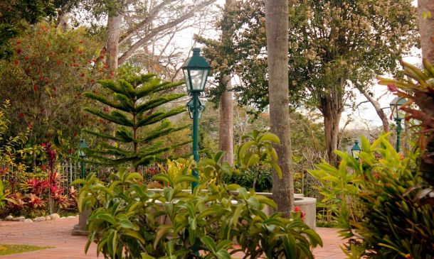 Boca Raton's New Coral Conservation Center 7 Boca Raton's 1st Park(ing) Day: Pop-Up Parks!