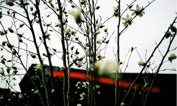 Just $5000 Leads To Foreclosure Lawsuit In Boca Raton Community