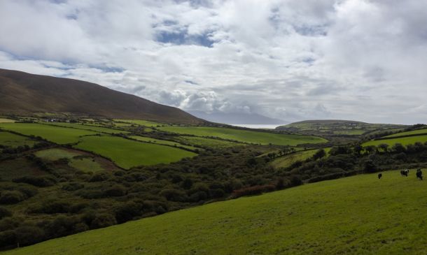 IRISH BRIGADE LAKE WORTH BEACH: You May Want To Skip This Place