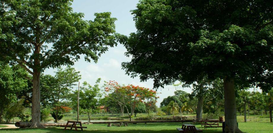 1c85a1e5 Entertainment