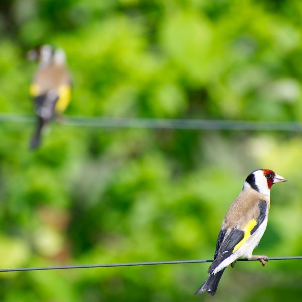 Popular South Florida Cars, Including BMW X3, Recalled