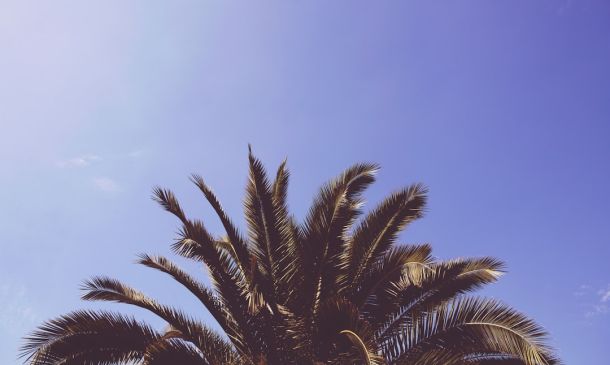 Judge Revokes Broward Man’s U.S. Citizenship 7 Palm Beach County School District Fires Worker Who Missed 100 Days