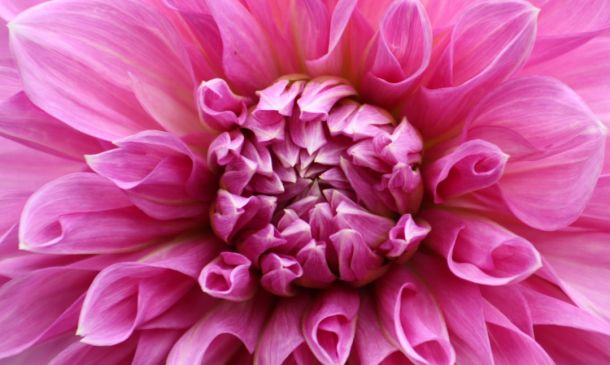 Double Shooting In Broward Leaves Teen In Critical Condition