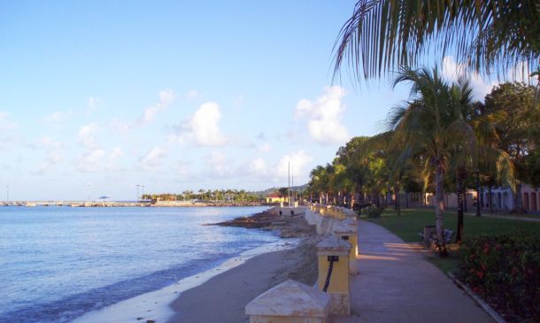 Boca Raton Investment Fraud Allegations