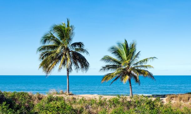 NJ Football Powerhouse Battles in Boca 5 Boca Raton: Nature & City Living Blend