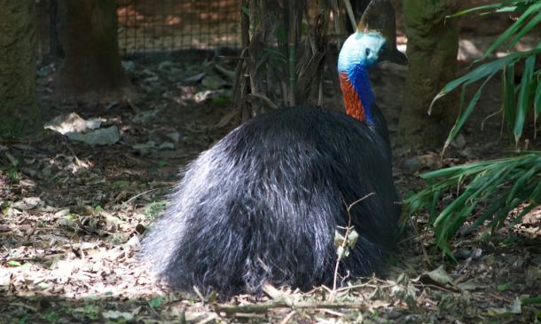 Inclusivity Is Focus Of Upcoming Boynton Beach Events 3 Seven Bridges Man, 68, Says He Didn’t Know Girl He Flew For Sex Was 17