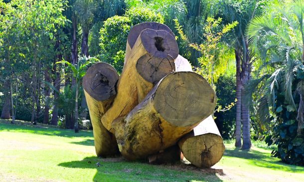 Boca Raton's Sugar Sand Park: An Outdoor Art Museum