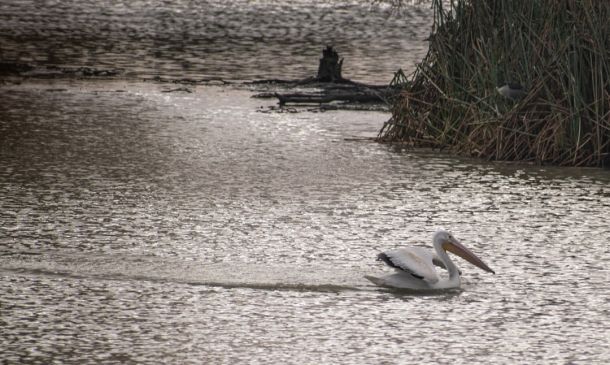 Boca Raton Flood Warning: Heavy Rain Today
