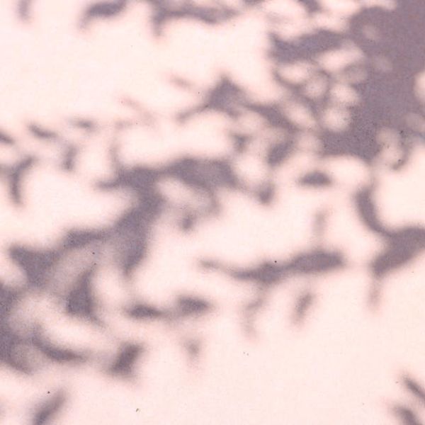 Home 16 JUROR: TWO WOMEN CLEARED RON FRANKEL OF FEDERAL TEEN SEX CHARGE