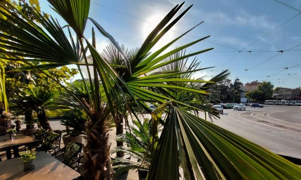 Boca Raton Weekend: Sunny, Breezy & Perfect