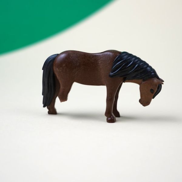 Home 17 Injured Teacher Sues Palm Beach County School District After Firing