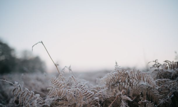 COLD WEATHER AGAIN: Wind Chills Back Into The 30s Tonight, Friday