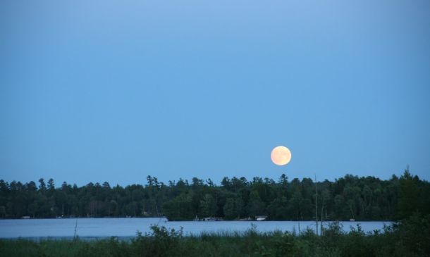 Minnesota Woman In Big Trouble After Boynton Beach I-95 Incident