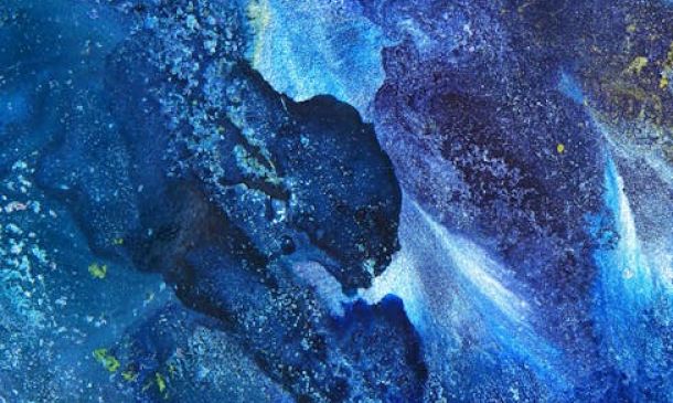 Alleged Dakota Drug Dealer Jailed, Delray Beach Man Blamed Family Member