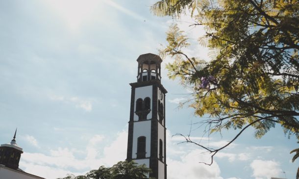 FAU Professor on Leave After Social Media Post 5 FAU Professor on Leave After Social Media Posts