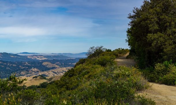 CITY OF DELRAY BEACH MAKES EMERGENCY WATER ANNOUNCEMENT 7 Area Country Club Sued Over Buffet Mishap, Alleged Victim Seeks Payout