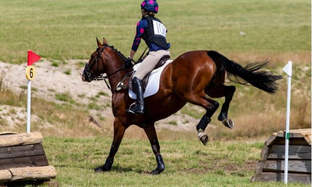 Boca Raton police training – Amazing Boca Raton's Ultimate Tactical Training Facility
