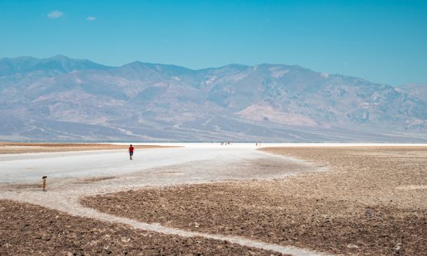 Another Bagel Place Ordered Shut in Boca Raton After Insects Found