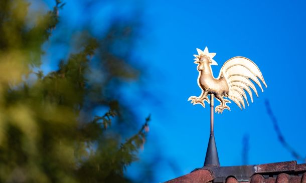 WEATHER ALERT: Cold Weather Advisory Issued For Palm Beach County