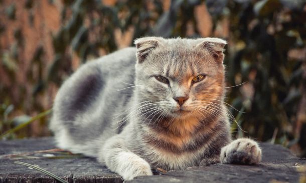 Suspect Arrested Hours After Boynton Beach Slaying