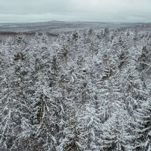 Home 16 Catskills Marijuana And DWI Arrests Keep Troopers Busy Near Narrowsburg