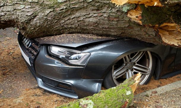 Seminole Pratt Whitney crash – Top Simple Fatal Wrong-Way Crash: 2 Vehicles Involved