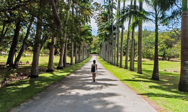 Boca Raton Downtown: Greener Campus Plan Unveiled