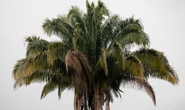 Boca Raton: Heavy Rain & Flood Warnings