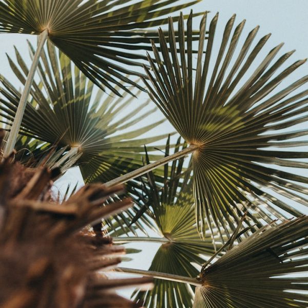 Home 14 Palm Beach County Crash Leaves Lakeland Man Dead