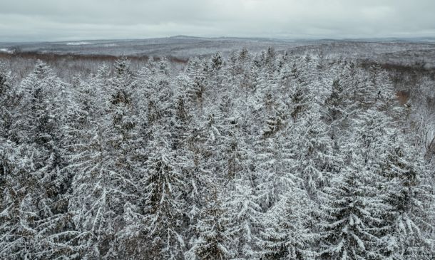 Hypothermia Risk Overnight, Tuesday Morning With 28 Degree Wind Chills 6 Catskills Marijuana And DWI Arrests Keep Troopers Busy Near Narrowsburg