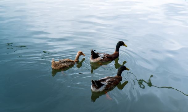 Three Dead In Boynton Beach Shooting, Gunman Among Dead