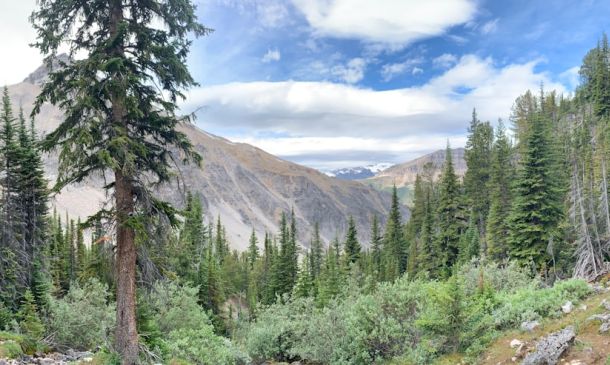 New Development Project to Bring Thousands of Homes to Boca Raton 2 No Invisible Touch For This Genesis In Seven Bridges Delray Beach