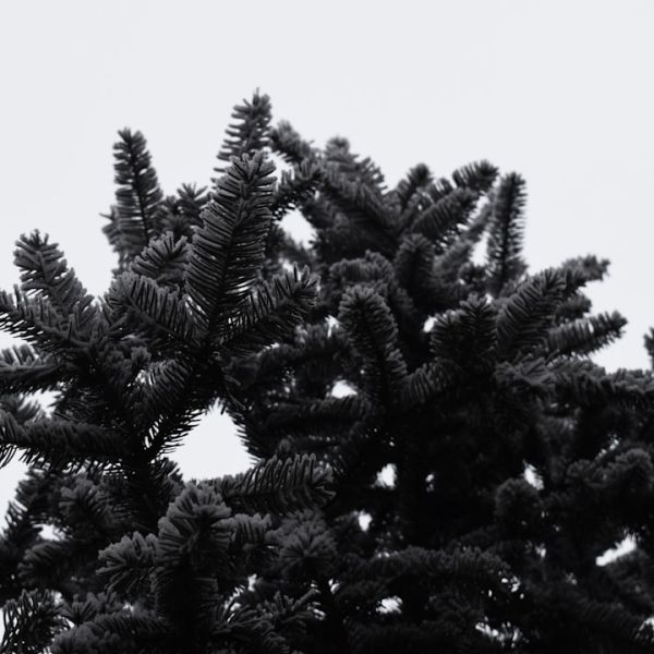 Cold Weather Shelters To Open Again In Palm Beach County