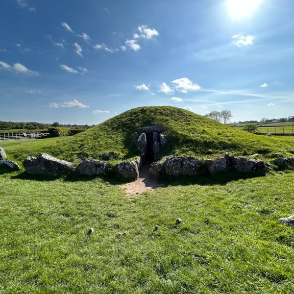 Home 15 Did You Hear What Happened At Boca Raton’s “Meat Market?”